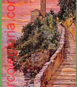 ah0360 -  SWITZERLAND - VINTAGE POSTCARD  - Chiesa di Albogasio