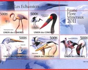 A3829 - Comoros - ERROR MISPERF, Miniature Sheet - 2011, Waders Birds