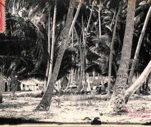 ac1648-  BRAZIL - VINTAGE POSTCARD  - Ilha de Itaparica (Pernambuco) - 1910