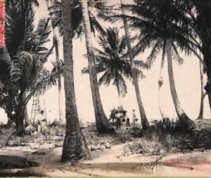 ac1647-  BRAZIL - VINTAGE POSTCARD  - Ilha de Itaparica (Pernambuco) - 1913