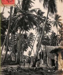 ac1649 -  BRAZIL - VINTAGE POSTCARD  - Ilha de Itaparica