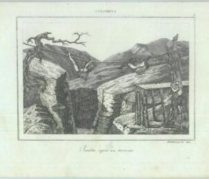 84950  - COLOMBIA - VINTAGE Italian Engraving 1800's