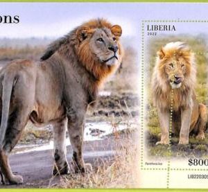 B0513 - LIBERIA - ERROR MISPERF Stamp Sheet - 2022 - Animals, Lions