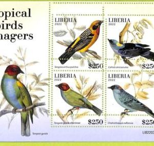 B0527 - LIBERIA - ERROR MISPERF Stamp Sheet - 2022 - Tropical birds Tanagers