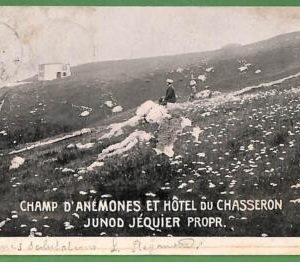 ah0447 -  SWITZERLAND - VINTAGE POSTCARD  - Bullet - 1906