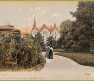 ad5254 - SWITZERLAND Schweitz - Ansichtskarten VINTAGE POSTCARD - Vevey