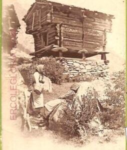 ad5291 - SWITZERLAND Schweitz - Ansichtskarten VINTAGE POSTCARD - Valais - 1907