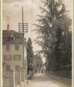 ad5327 - SWITZERLAND Schweitz - Ansichtskarten VINTAGE POSTCARD - Wadenswil