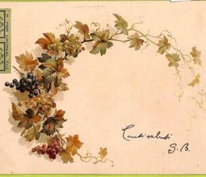ad5520 - SWITZERLAND Schweitz - Ansichtskarten VINTAGE POSTCARD