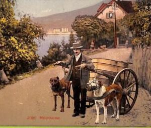 ad5492 - SWITZERLAND Schweitz - Ansichtskarten VINTAGE POSTCARD - 1910 - Ethnic