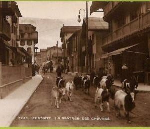 ad5354 - SWITZERLAND Schweitz - Ansichtskarten VINTAGE POSTCARD - Zermatt