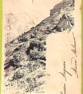 ad5564 - SWITZERLAND  - Ansichtskarten VINTAGE POSTCARD - Swiss Alps