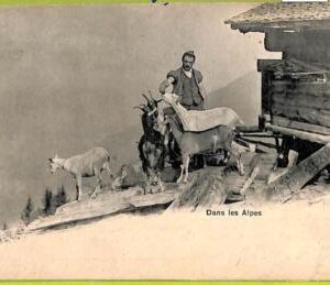 ad5565 - SWITZERLAND  - Ansichtskarten VINTAGE POSTCARD - Ethnic