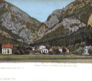 ac3464 - AUSTRIA - Ansichtskarten  VINTAGE  POSTCARD - Reichenau