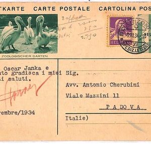 ai4124 - Switzerland  - POSTAL HISTORY - Postal Stationery Card - Birds - 1934