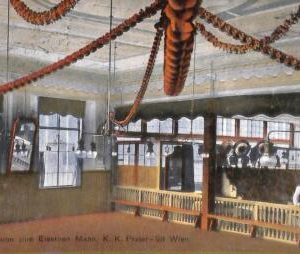ac3605 - AUSTRIA - Ansichtskarten  VINTAGE  POSTCARD - Wien