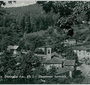 31928   CARTOLINA d'Epoca AREZZO provincia - Badia Prataglia 1955