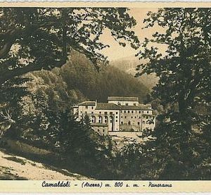 31923   CARTOLINA d'Epoca AREZZO provincia - CAMALDOLI
