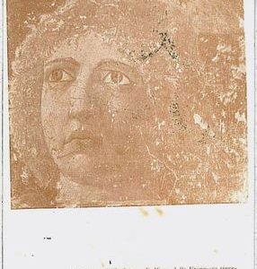 31931  CARTOLINA d'Epoca AREZZO provincia - Sansepolcro