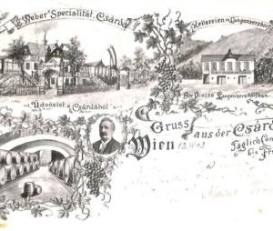 ac3638 - AUSTRIA - Ansichtskarten  VINTAGE  POSTCARD - Gruss aus Csarda, Wien