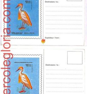 ai4134 - Malagasy - POSTAL HISTORY - Postcard double print - Birds - R!