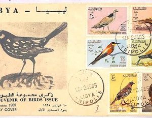 ai4135 - LIBYA - POSTAL HISTORY - FDC - Birds - 1965
