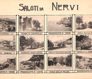 ab2676 - CARTOLINA D'EPOCA - Genova Provincia : Nervi