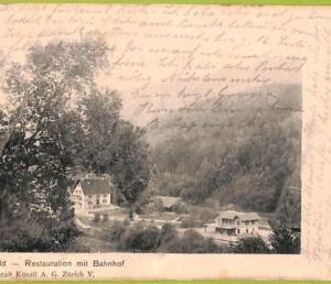 ad5617 - SWITZERLAND Schweitz - Ansichtskarten VINTAGE POSTCARD - Sihlwald -1904