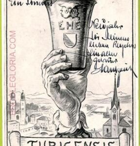 ad5633 - SWITZERLAND Schweitz - Ansichtskarten VINTAGE POSTCARD