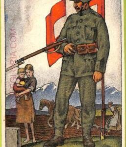 ad5534 - SWITZERLAND Schweitz - Ansichtskarten VINTAGE POSTCARD - Military