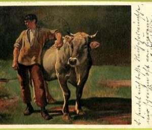 ad5526 - SWITZERLAND Schweitz - Ansichtskarten VINTAGE POSTCARD - Ethnic