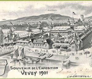 ad5276 - SWITZERLAND Schweitz - Ansichtskarten VINTAGE POSTCARD - Vevey - 1901