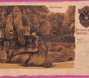 ah7086 - GERMANY - VINTAGE POSTCARD Ansichtskarten - Koln
