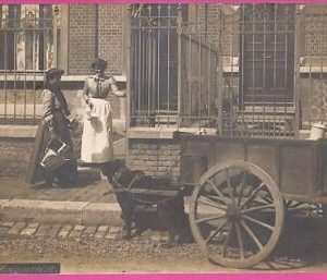 ah7102 - GERMANY - VINTAGE POSTCARD Ansichtskarten - Mainz - 1908 Real Photo