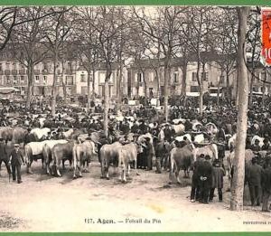 ah2928 - FRANCE - VINTAGE POSTCARD - Agen - CATTLE MARKET 1910