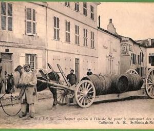 ah2881 - FRANCE - VINTAGE POSTCARD - ILE DE RE Wine Transport