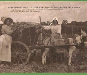 ah2882 - FRANCE - VINTAGE POSTCARD - ILE D'OLERON, ETHNIC