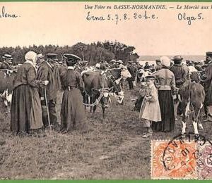 ah2879 - FRANCE - VINTAGE POSTCARD - Basse-Normandie - 1910 CATTLE MARKET
