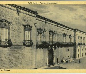 98011  - CARTOLINA d'Epoca -  BARI provincia   -  TURI