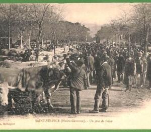 ah2907 - FRANCE - VINTAGE POSTCARD - Haute-Garonne - CATTLE MARKET