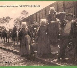 ah2905 - FRANCE - VINTAGE POSTCARD - Plougastel-Daoulas  TRAIN