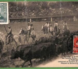 ah2906 - FRANCE - VINTAGE POSTCARD - Saintes Maries de la Mer - 1912