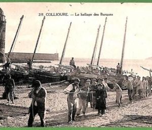 ah2965 - FRANCE - VINTAGE POSTCARD - Collioure