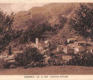 ab3660 - CARTOLINA D'EPOCA - Torino  provincia  - Cesnola