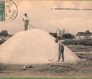 ah3022 - FRANCE - VINTAGE POSTCARD - Noirmoutier (Vendee) - 1913