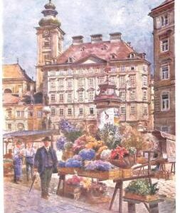 ac3579 - AUSTRIA - Ansichtskarten  VINTAGE  POSTCARD -  Wien
