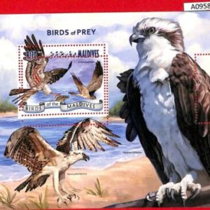 A0958 MALDIVES - ERROR  MISPERF SHEET - 2014  BIRDS FISH ПТИЦЫ РЫБА