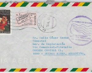 66426 -  BOLIVIA - POSTAL HISTORY - COVER to ARGENTINA - Nice postmark 1981