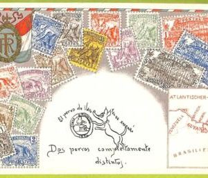 ae9901 - French Guiana -  VINTAGE  POSTCARD - STAMPS ON POSTCARD - ZIEHER