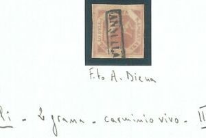 74339 - ANTICHI STATI:  NAPOLI  - Sassone 7e Carmino Vivo USATO - A DIENA Sorani